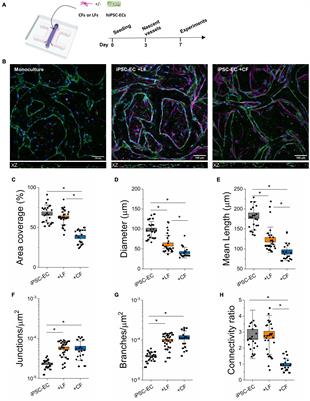 Classical and Non-classical Fibrosis Phenotypes Are Revealed by Lung and Cardiac Like Microvascular Tissues On-Chip